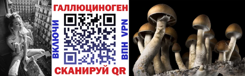 Галлюциногенные грибы Psilocybe  продажа наркотиков  Саранск 